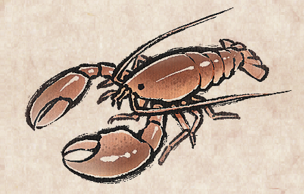 American Lobster