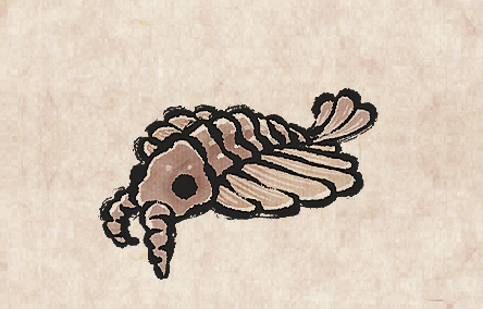 Anomalocaris