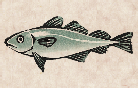 Arctic Cod