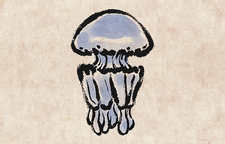 Barrel Jellyfish