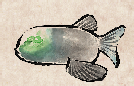 Barreleye