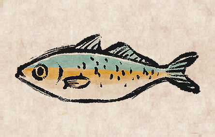 Bigeye Scad