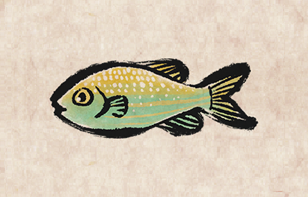 Blackspot Seabream