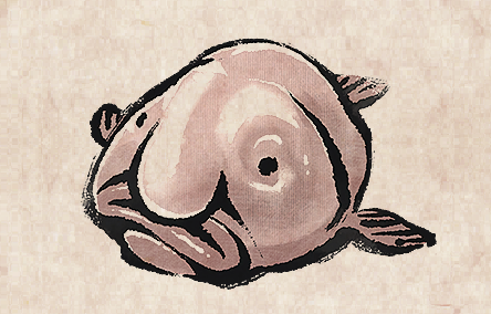 Blobfish