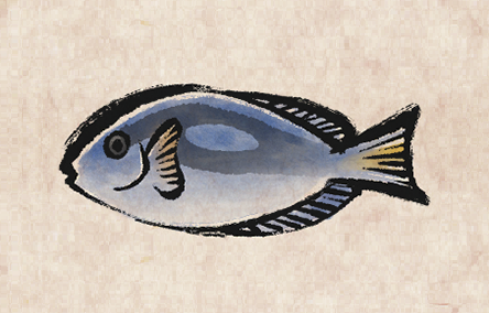 Blue Tang