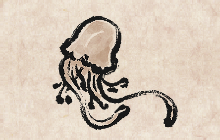 Box Jellyfish