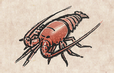 California Spiny Lobster