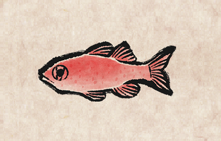 Cardinal Fish