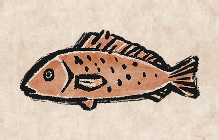 Coral Trout
