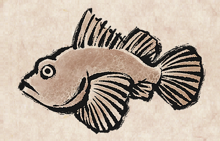 Devil Scorpionfish