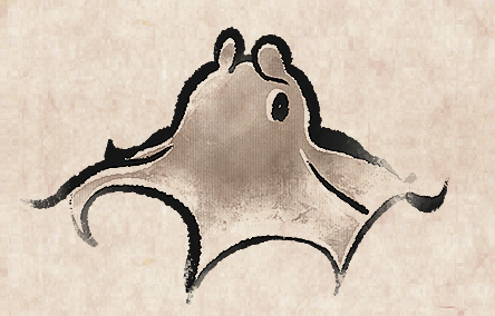 Dumbo Octopus