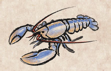 European Lobster