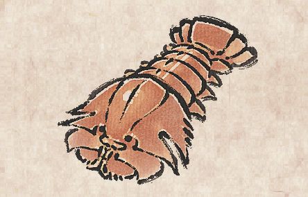 Fan Lobster