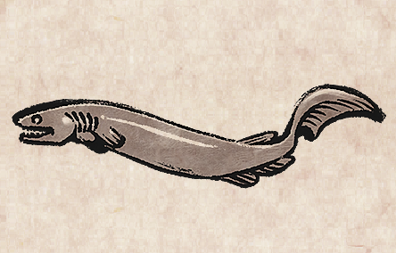 Frilled Shark
