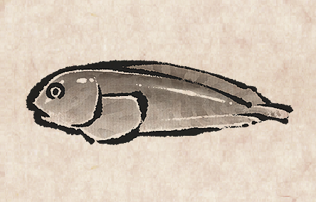 Gelatinous Snailfish