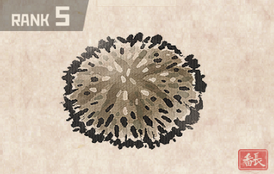 Green Sea Urchin