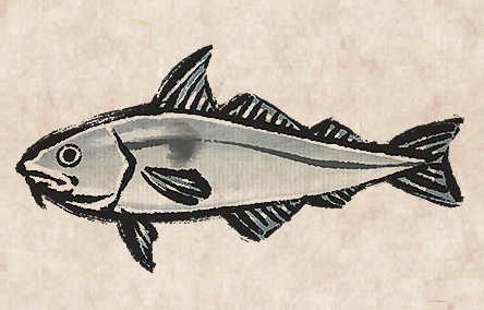 Haddock