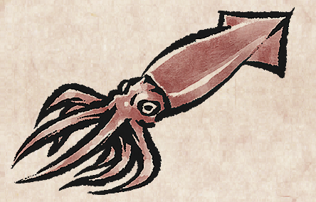 Humboldt Squid
