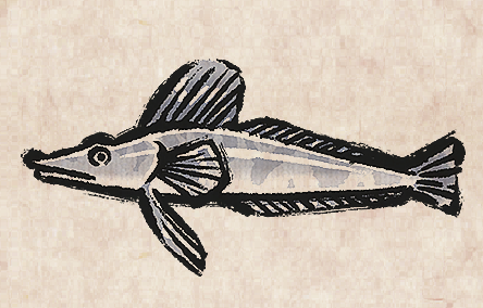 Ice Fish