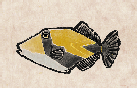 Lagoon Triggerfish