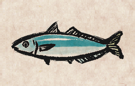 Mackerel Scad