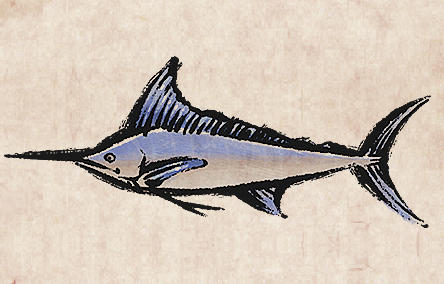 Marlin