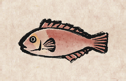 Mediterranean Parrotfish