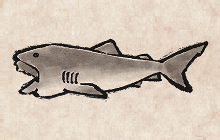 Megamouth Shark