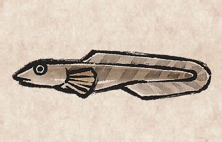 Polar Eelpout