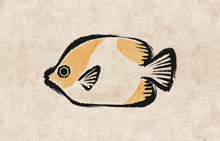 Pyramid Butterflyfish
