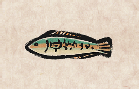 Rainbow Wrasse
