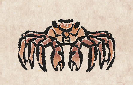 Sally Lightfoot Crab