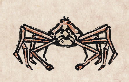 Spider Crab