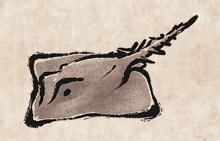 Starry Skate