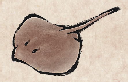 Stingray