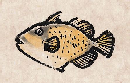 Titan Triggerfish
