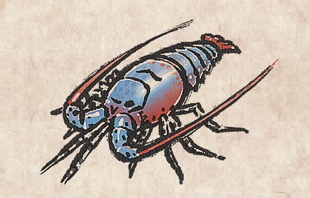 Tropical Rock Lobster