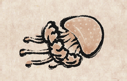 White Spotted Jellyfish