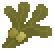 Bladderwrack