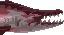 Bloodskin Shark