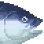 Bluefin Tuna Akami