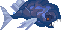 Grotesque Mackerel