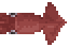 Humboldt Squid Meat
