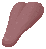 Kronosaurus Tongue