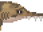 Longnose Sawshark Meat