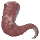 Lusca Tentacle