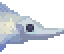 Rhinochimaeridae Meat