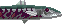 Savage Barracuda