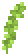 Sea Grape