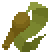 Southern Bull Kelp